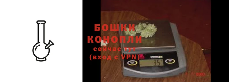 прущая мука Няндома
