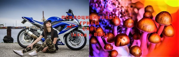 прущая мука Няндома