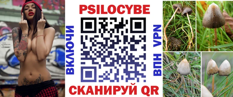 купить закладку  блэк спрут tor  Псилоцибиновые грибы прущие грибы  Электрогорск 